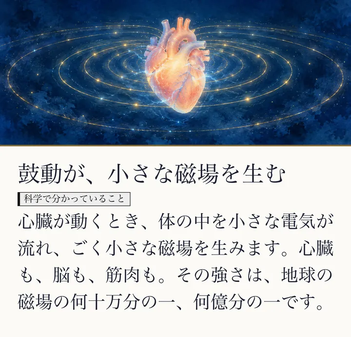 藍色の夜空のような背景に心臓がうかび、光の輪が広がる絵|体がつくる小さな磁場(生体磁場)。鼓動が、小さな磁場を生む。心臓が動くとき、体の中を小さな電気が流れ、ごく小さな磁場を生みます。心臓も、脳も、筋肉も。その強さは、地球の磁場の何十万分の一、何億分の一です。(ゼロ磁場のスライド 35/57)