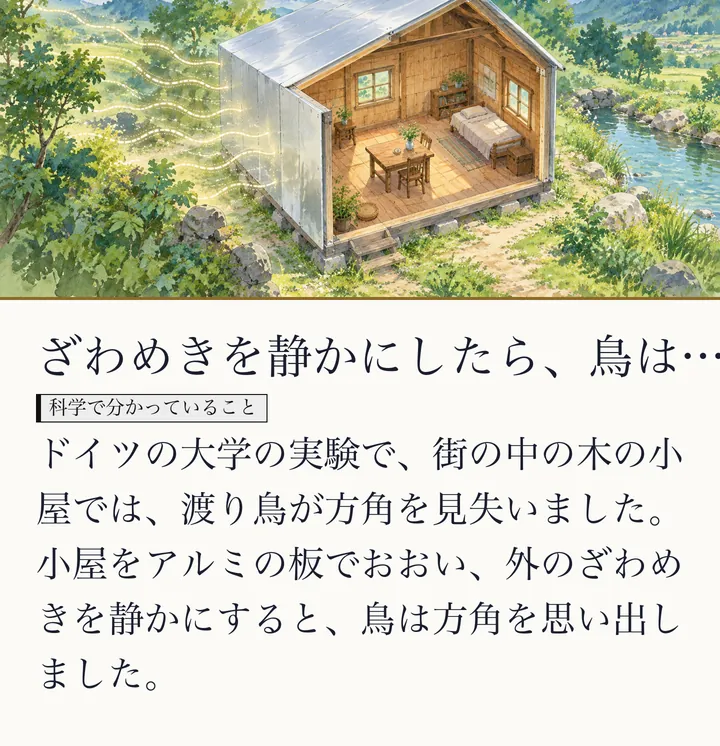 アルミの板でおおわれた木の小屋の断面と、そのまわりを流れる光の線の絵|外の磁気のざわめきを静かにした小屋。ざわめきを静かにしたら、鳥は…。ドイツの大学の実験で、街の中の木の小屋では、渡り鳥が方角を見失いました。小屋をアルミの板でおおい、外のざわめきを静かにすると、鳥は方角を思い出しました。(ゼロ磁場のスライド 40/57)
